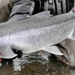 Deep Creek Lodge BC fishing lodge image44