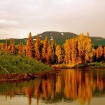 Talaheim Lodge Alaska fishing lodge image24
