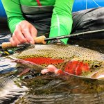 Talaheim Lodge Alaska fishing lodge image37
