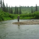 Talaheim Lodge Alaska fishing lodge image12