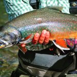 Talaheim Lodge Alaska fishing lodge image32