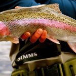 Talaheim Lodge Alaska fishing lodge image35