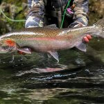Talon Lodge & Spa Alaska fishing lodge image10