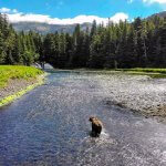 Talon Lodge & Spa Alaska fishing lodge image20