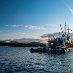 Pacific Tugboat Adventures BC fishing lodge image16