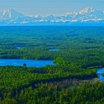 Wilderness Place Lodge Alaska fishing lodge image24