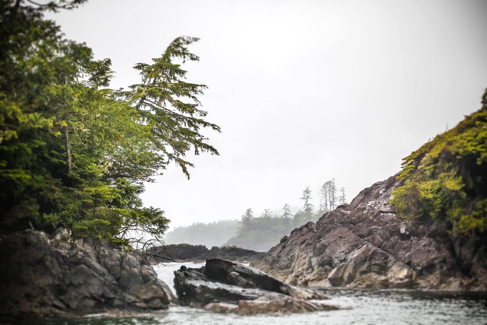 Vancouver Island BC Canada fishing lodges