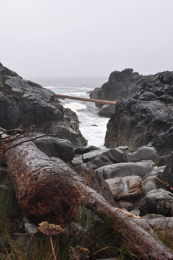 Sportfishing on Vancouver Island and the Gulf Islands 1