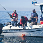 Walters Cove Resort BC fishing lodge image12