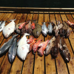 Walters Cove Resort BC fishing lodge image18