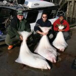West Wave Fishing BC fishing lodge image7