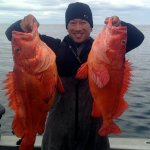 West Wave Fishing BC fishing lodge image11
