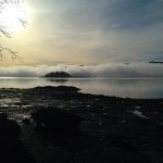 West Wave Fishing BC fishing lodge image15