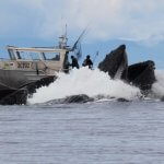 Whaler’s Cove Lodge Alaska fishing lodge image2
