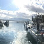 Whaler’s Cove Lodge Alaska fishing lodge image10