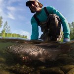 Wilderness Place Lodge Alaska fishing lodge image18